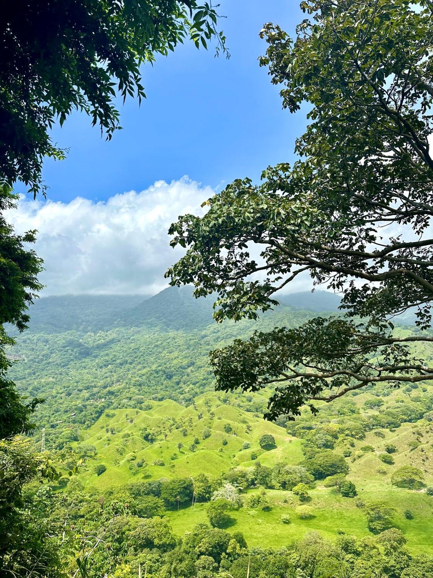 埃尔扎伊诺 尤鲁卡生态旅舍旅舍 外观 照片