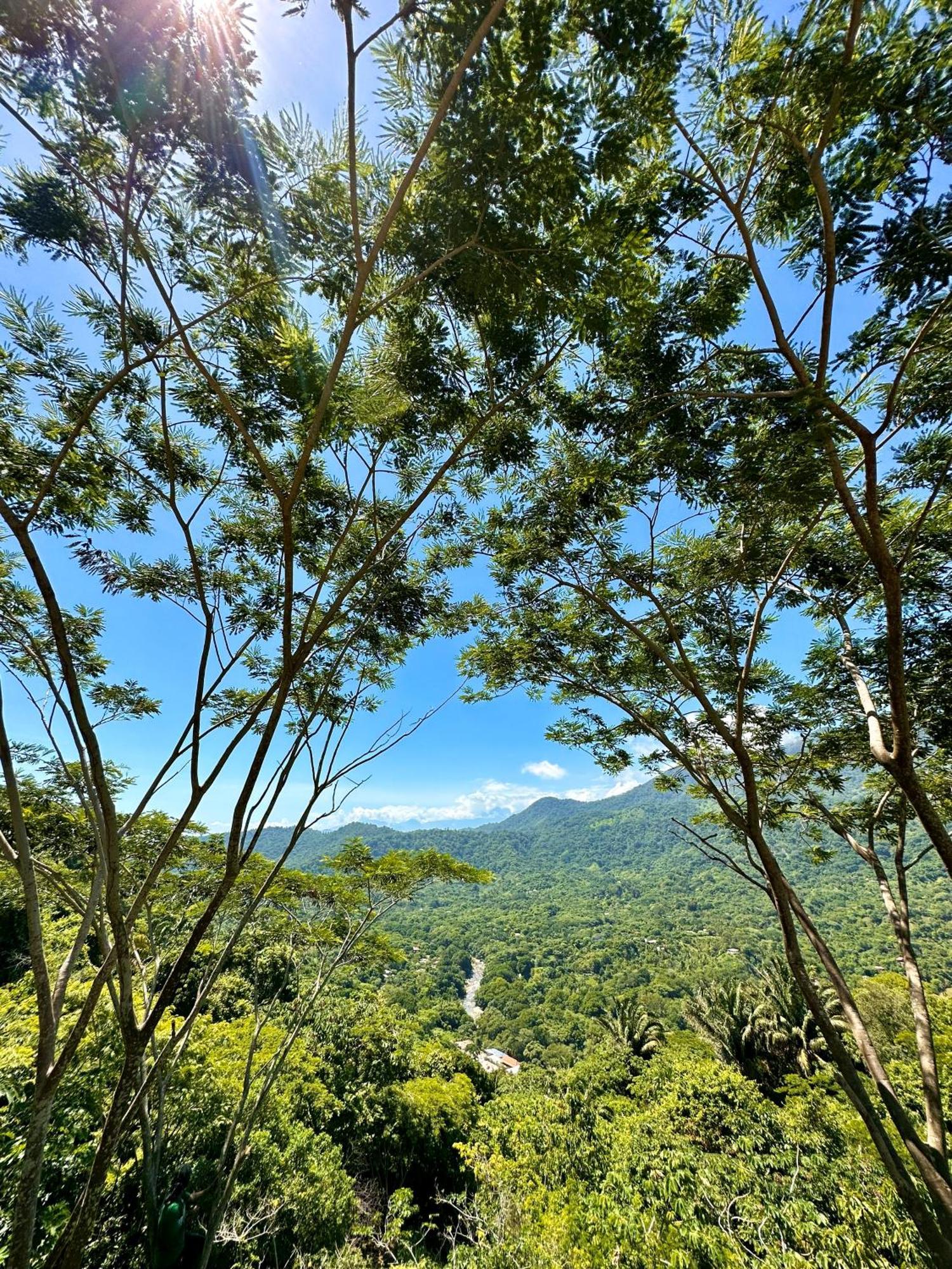埃尔扎伊诺 尤鲁卡生态旅舍旅舍 外观 照片